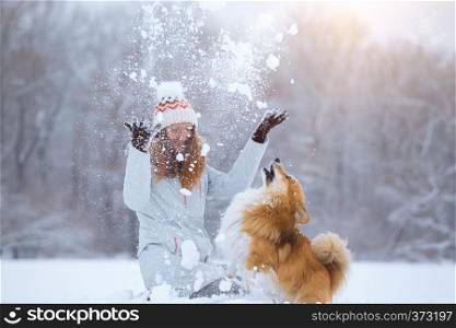 dog corgi fluffy and his owner playing on a winter walk at the outdoor