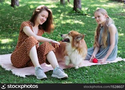 dog in the family - beautiful corgi fluffy on green lawn with girls