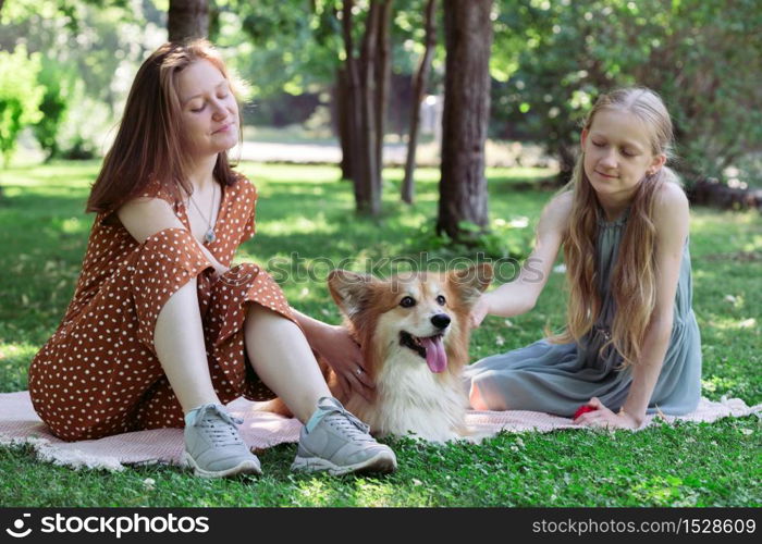 dog in the family - beautiful corgi fluffy on green lawn with girls