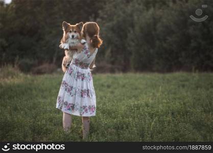 dog in the family - beautiful corgi fluffy with girl