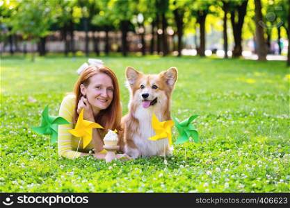 dog in the family - birthday off beautiful corgi fluffy on green lawn and colorful party flags on the background