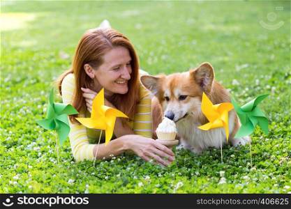 dog in the family - birthday off beautiful corgi fluffy on green lawn and colorful party flags on the background