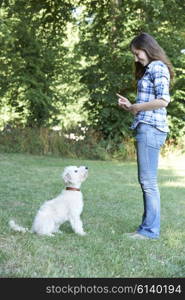 Dog Owner Teaching Pet Lurcher To Sit