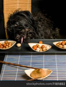 Dog self rewarding himself with a ginger and sesame asian snack.