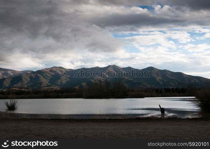 Dog silhouetted against a mountain lake