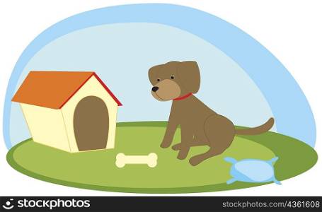 Dog sitting in front of a kennel