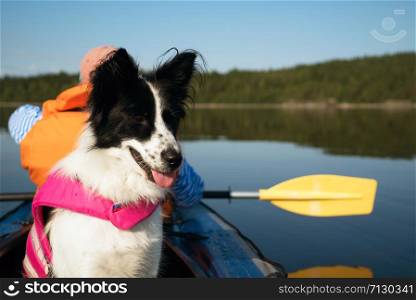 Dog sitting in the boat .lake Ladoga.Karelia,Skerries. Dog in a life jacket floating on the lake in a kayak .