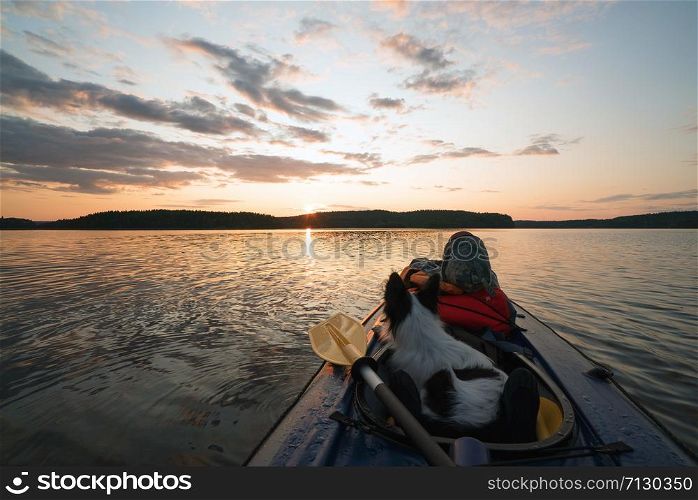 Dog sitting in the boat .lake Ladoga.Karelia,Skerries. The hostess and the dog are sailing on the lake in a kayak boat at sunset .