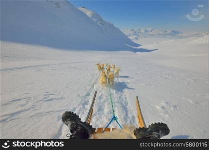 Dog sledding trip in cold snowy winter in Greenland