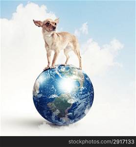 Dog with the Earth.