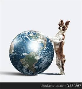 Dog with the Earth.. Dog with the Earth planet. Funny collage. Elements of this image are furnished by NASA