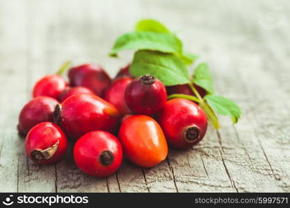 Dogrose fruits on the wooden table close up. The Dogrose fruits