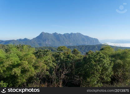 Doi Luang Chiang Dao, Chiang Mai, Thailand with forest trees and green mountain hills. Nature landscape background.