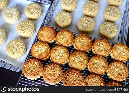 Doing moon cake for mid autumn festival at home, group of sweet cakes on tray, baking at home attractive many housewife that make food safety with delicious homemade product