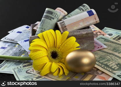 Dollar and euro currencies in marble box with gold nest egg and golden flower with fresh dew reflects renewed hope in economic recovery and financial missions