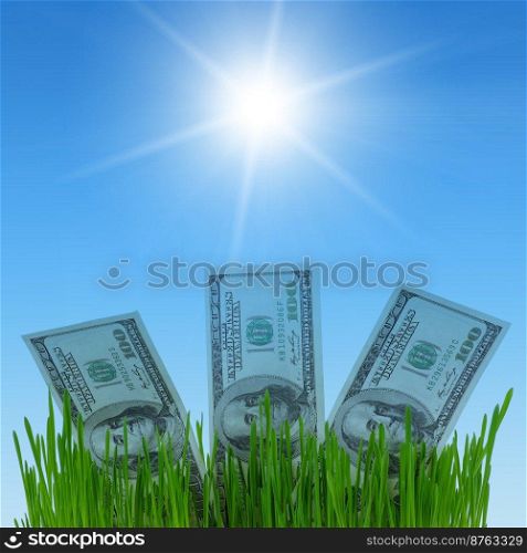 dollar bills growing in the green grass