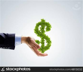 Dollar concept. Dollar tree in plant in human hand. Wealth concept