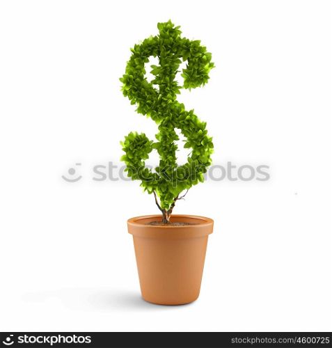 Dollar concept. Dollar tree in plant pot. Wealth concept