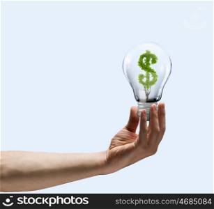 Dollar concept. Human hand holding bulb with money tree inside. Wealth concept