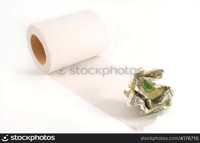 Dollar in toilet paper roll