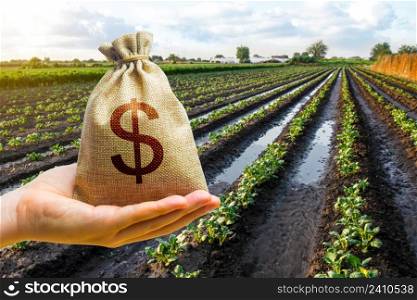 Dollar money bag in a hand on freshly watered potato field. Support for farming, loans for the sowing campaign and the purchase of equipment materials. Land tax. Grants, financial support.