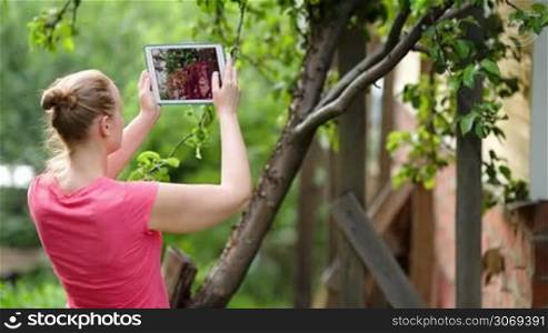 Dolly shot of a young woman using touchpad to make photos of nature scenes on a bright sunny day