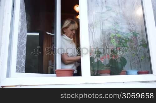 Dolly shot of woman planting a house plant into flowerpot on the windowsill