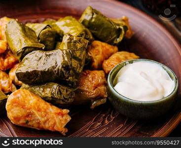 Dolma with meat, rice in grape leaves