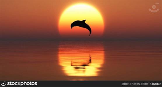 Dolphin jumping backlight and sunset