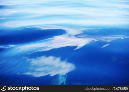 dolphins in blue ocean waves