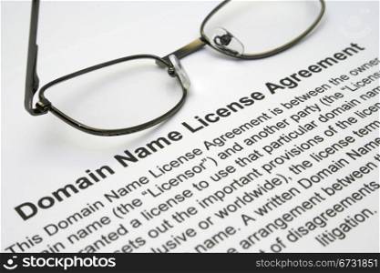 Domain name license agreement
