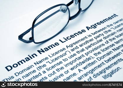 Domain name license agreement