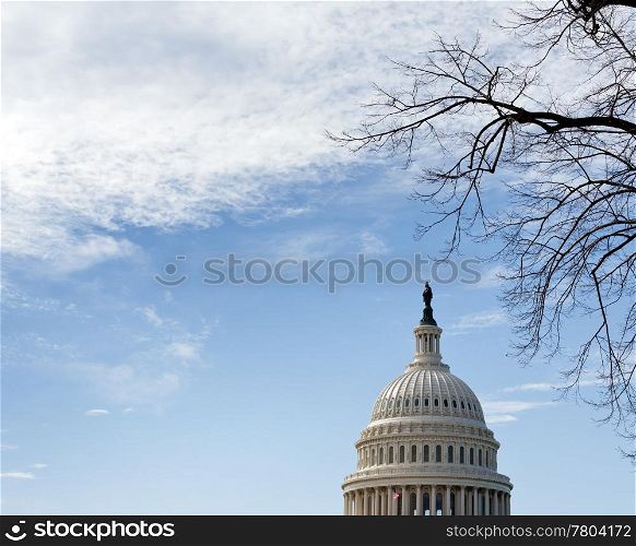 Dome of Capitol in Washington DC with winter branches and blue sky and clouds