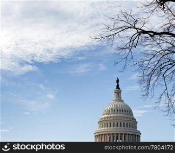 Dome of Capitol in Washington DC with winter branches and blue sky and clouds