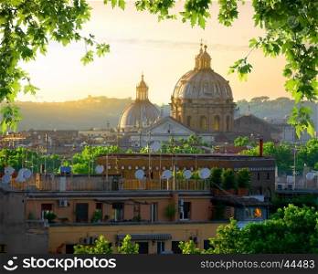 Dome of Vatican and nature at sunset, Rome, Italy