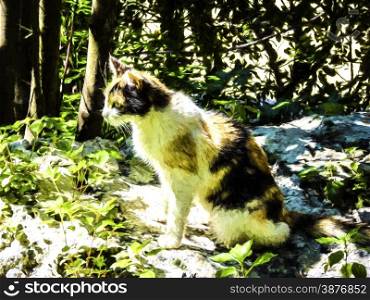 Domestic cat lying in the garden - Painting effect. Domestic cat in the garden - Painting effect