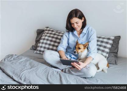 Domestic cozy atmosphere. Beatiful female model wears pyjmas, sits on bedclothes in bedroom with her favourite pet, messages with frineds via tablet computer, enjoys free internet connection