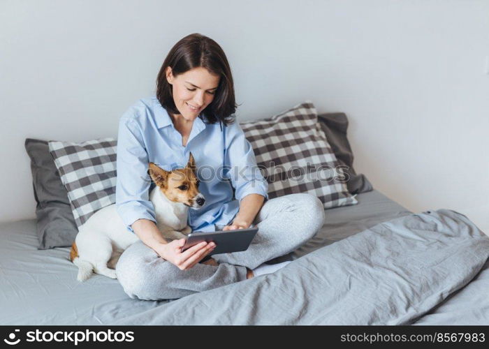 Domestic cozy atmosphere. Beatiful female model wears pyjmas, sits on bedclothes in bedroom with her favourite pet, messages with frineds via tablet computer, enjoys free internet connection