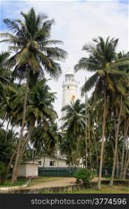 Dondra lighthouse and palm trees, Sri Lanka