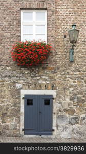 door entrance of house with flowers red geranium and window