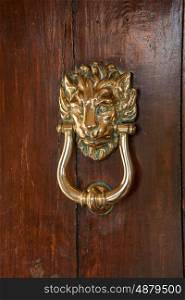 Door knocker on polished oak door in the shape of a brass lion head