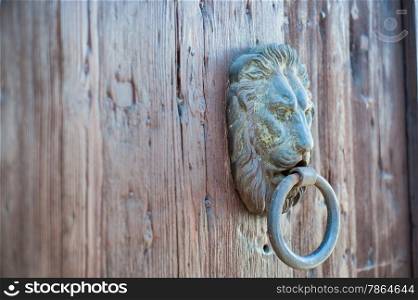 Doors with door knocker in the shape of lion head
