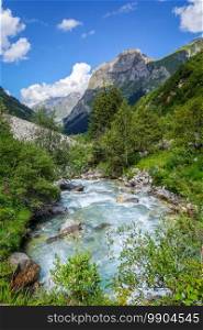 Doron river in Vanoise national Park alpine valley, Savoie, French alps. Doron river in Vanoise national Park valley, French alps