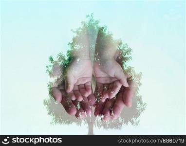 Double exposure effects of small hand on big hand combined with a big tree. Concept of Nature, ecology, environment.