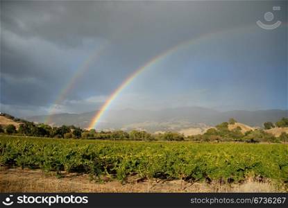 Double rainbow over California vineyards, Mendocino County, California