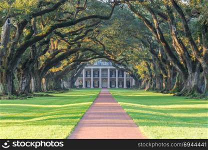 Double row of live oaks trees, Oak Alley Plantation in Louisiana, USA.