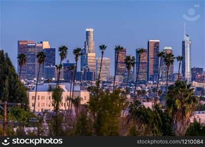 Downtown Los Angeles, palm trees in foreground