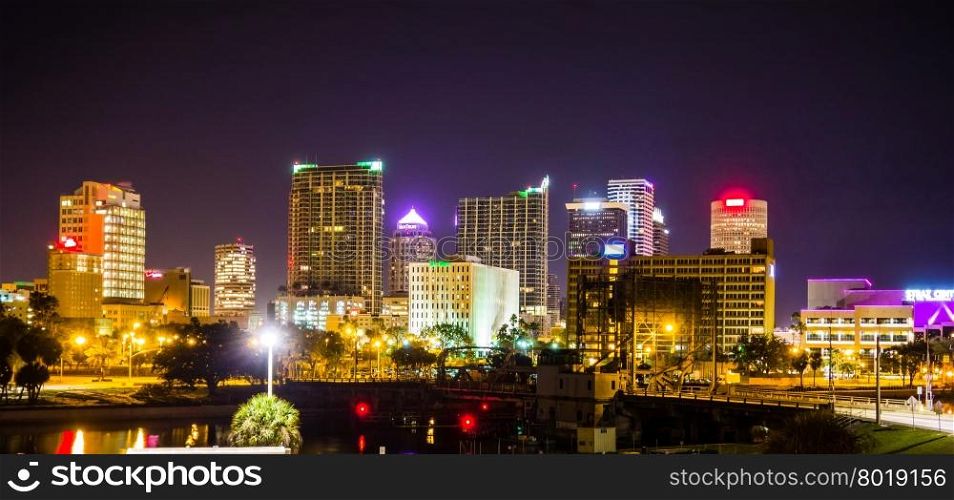 Downtown tampa florida skyline at night