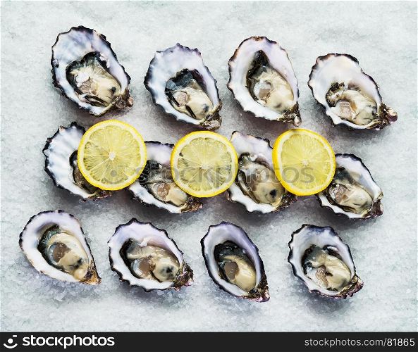 Dozen fresh oysters on a sea salt with lemon. Top view