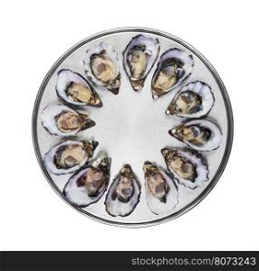 dozen fresh oysters on special cooking and serving metal tray isolated top view